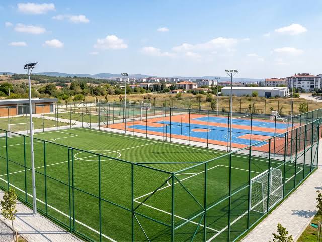 SAHA ÇİTLERİ
